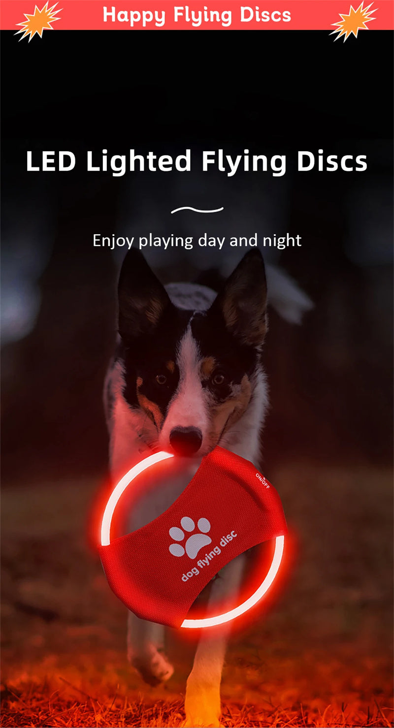 Świecące frisbee LED dla psa