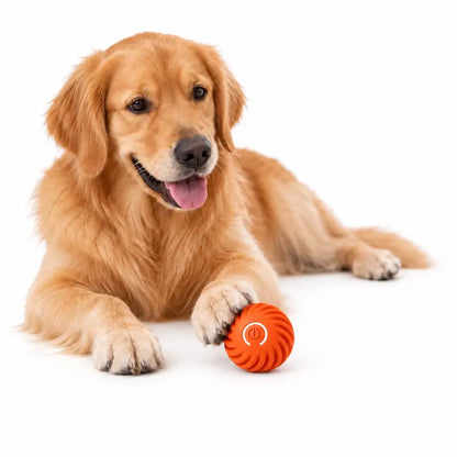Interactive Dog Ball, 2.2-Inch Motion-Activated Automatic Rolling & Bouncing Ball, USB Rechargeable Durable Indoor & Outdoor Pet Toy for Dogs